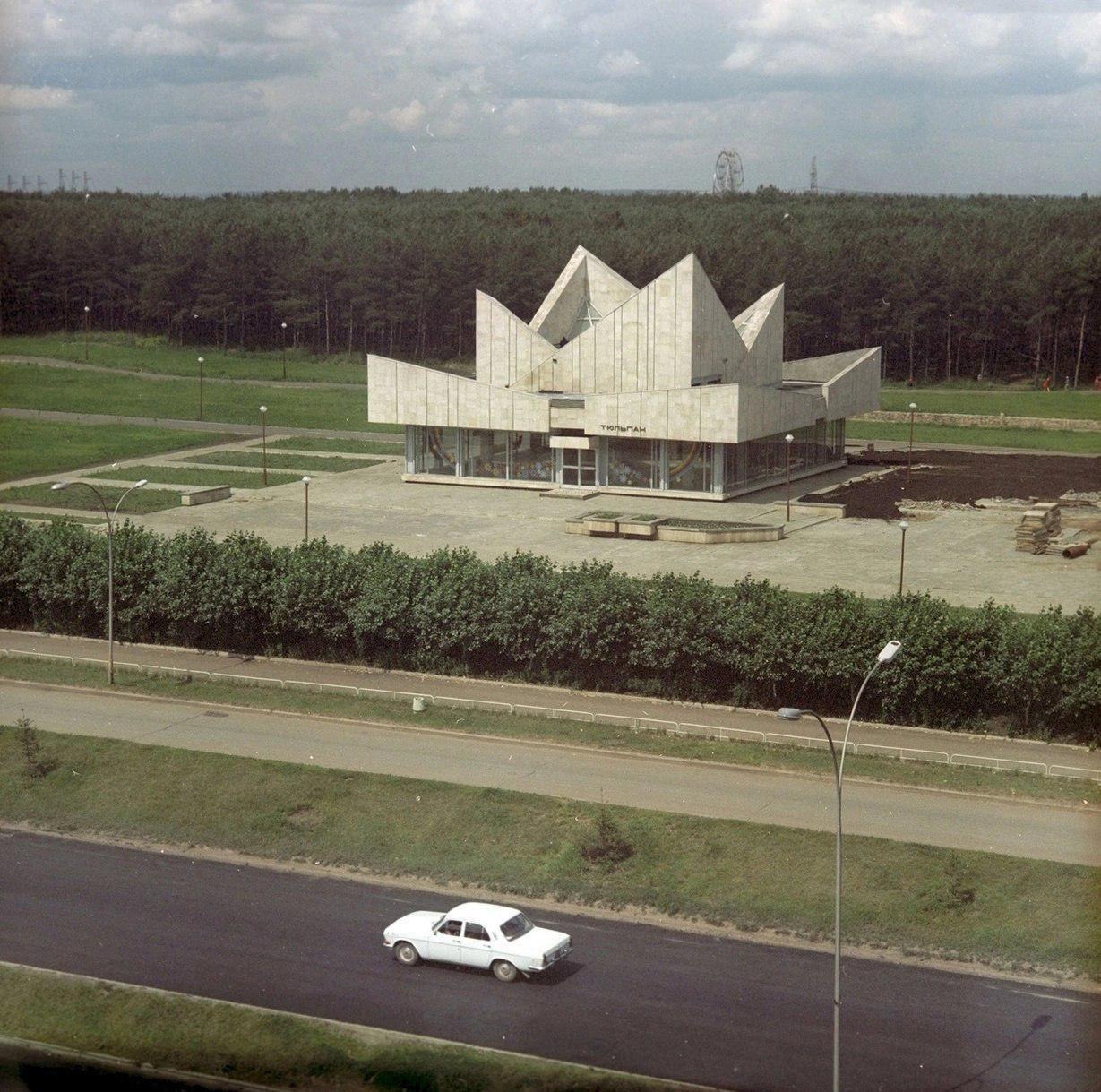 5555555555555555555_11zon