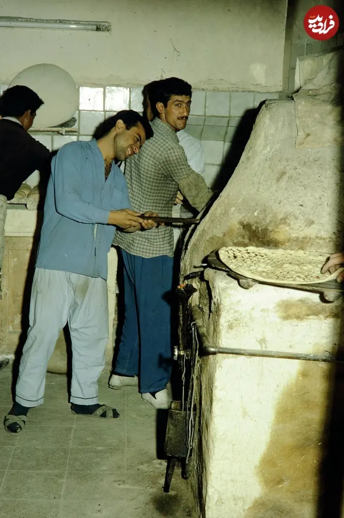 تافتونی 46