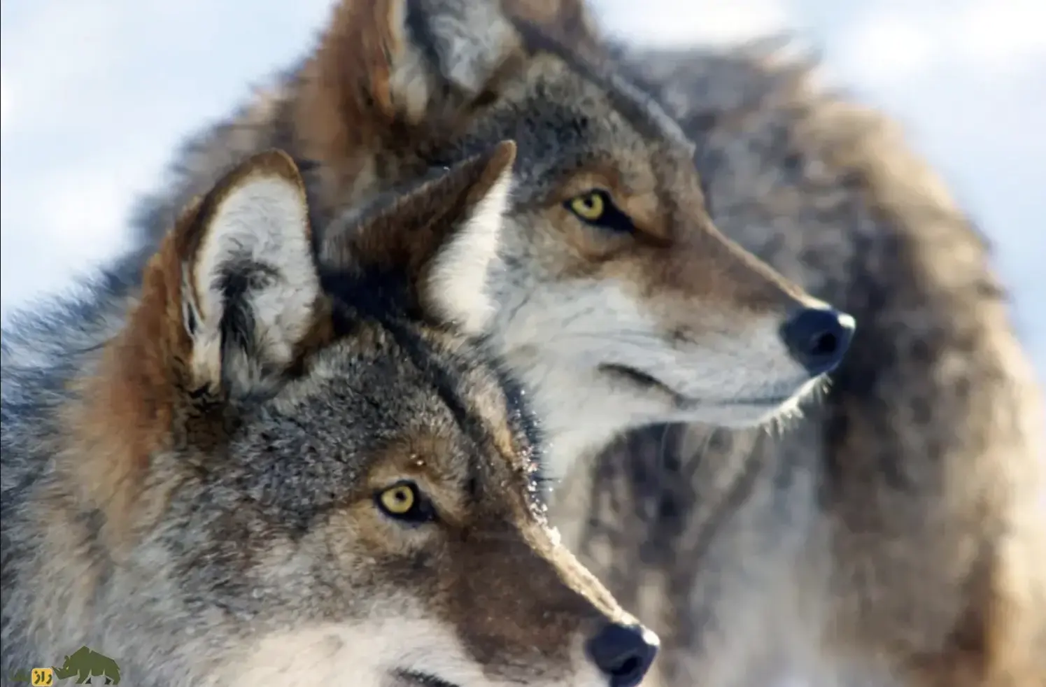 Screenshot 2026-01-21 223851