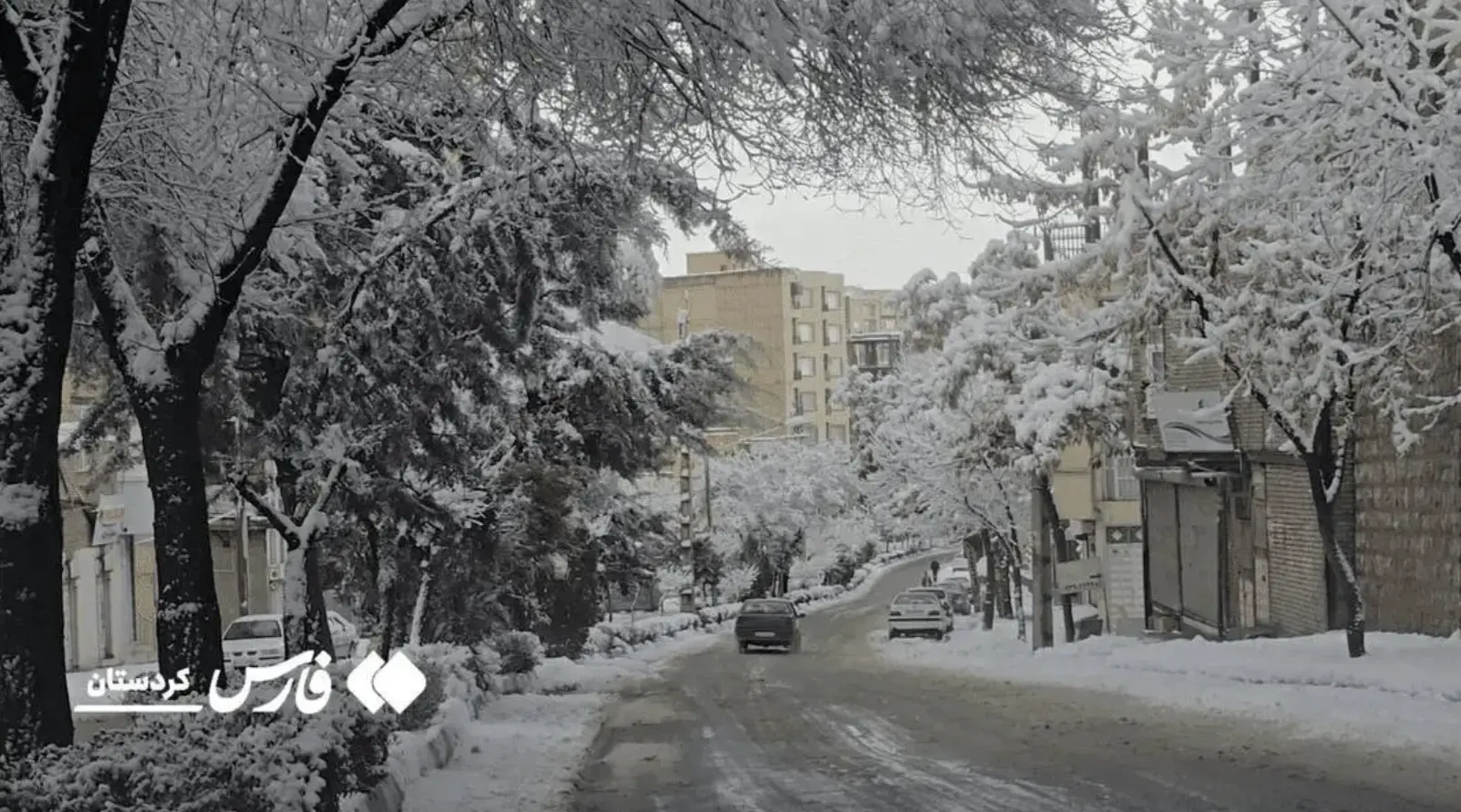 Screenshot 2026-01-15 003415