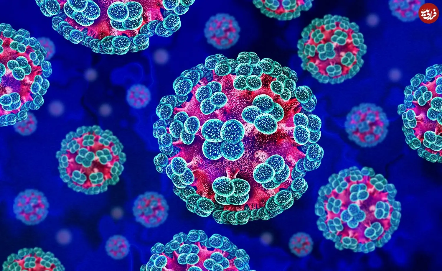hantavirus_blog