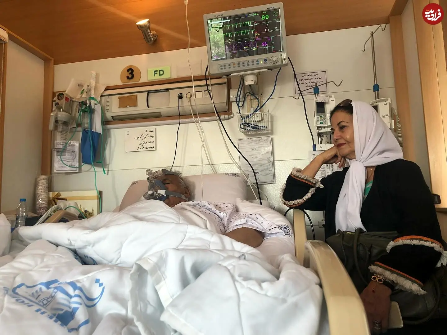 pouribanayii_1748070404_3639400794603885828_65182652078