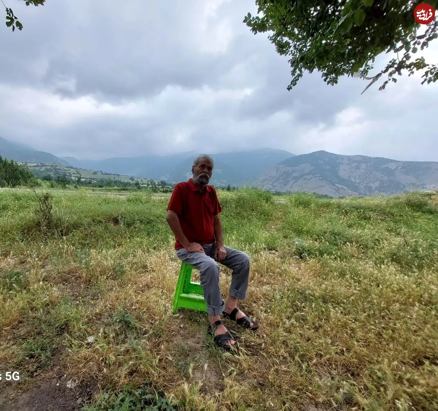 11zon_hosein_toosheh_1718560684_3391855319329131252_2928296287