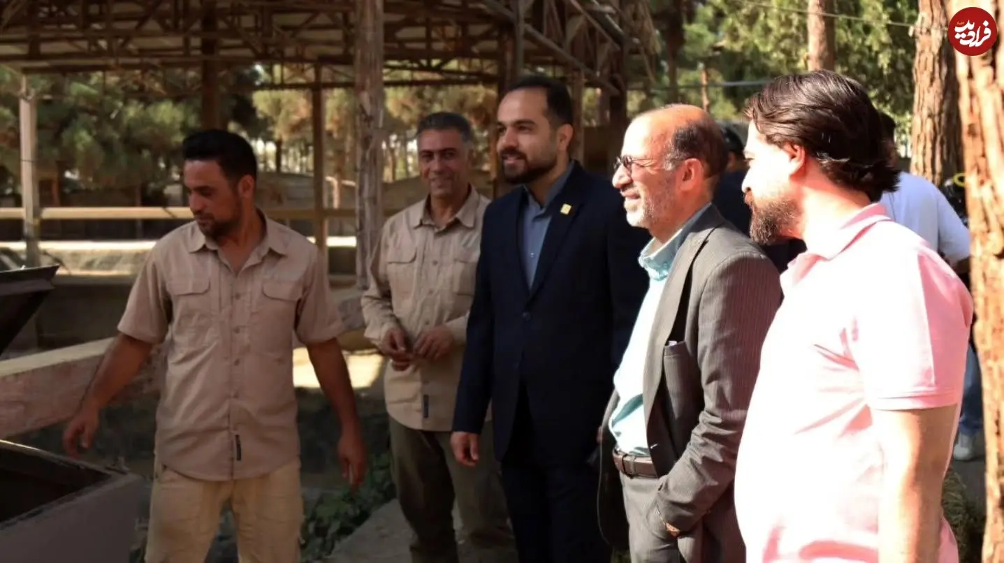 11zon_amirseyedzadeh_1766260884_3791993599151907973_1096488985