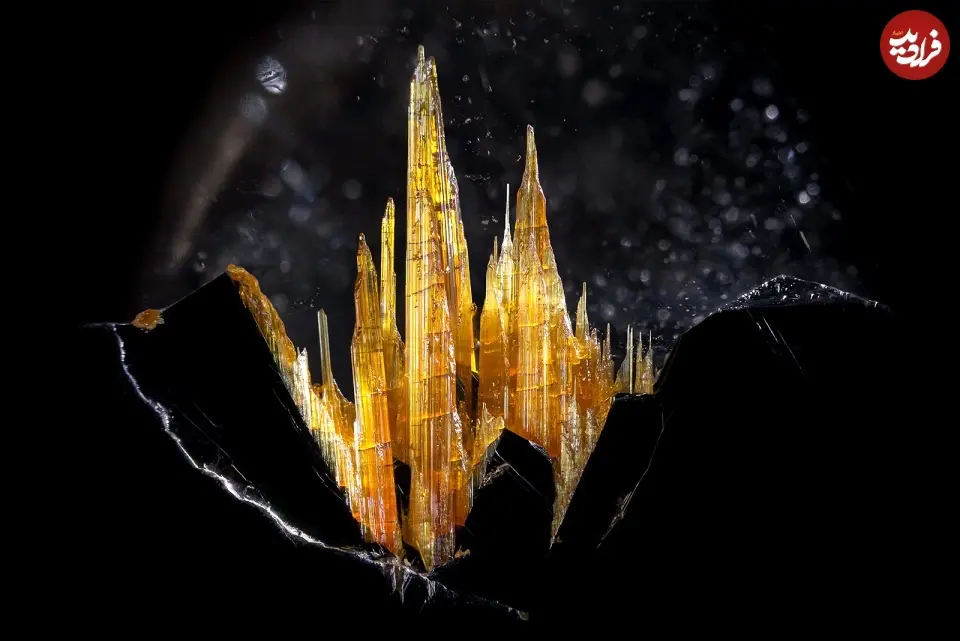 iod-2023_Sanchez_Danny_e30728_f21397