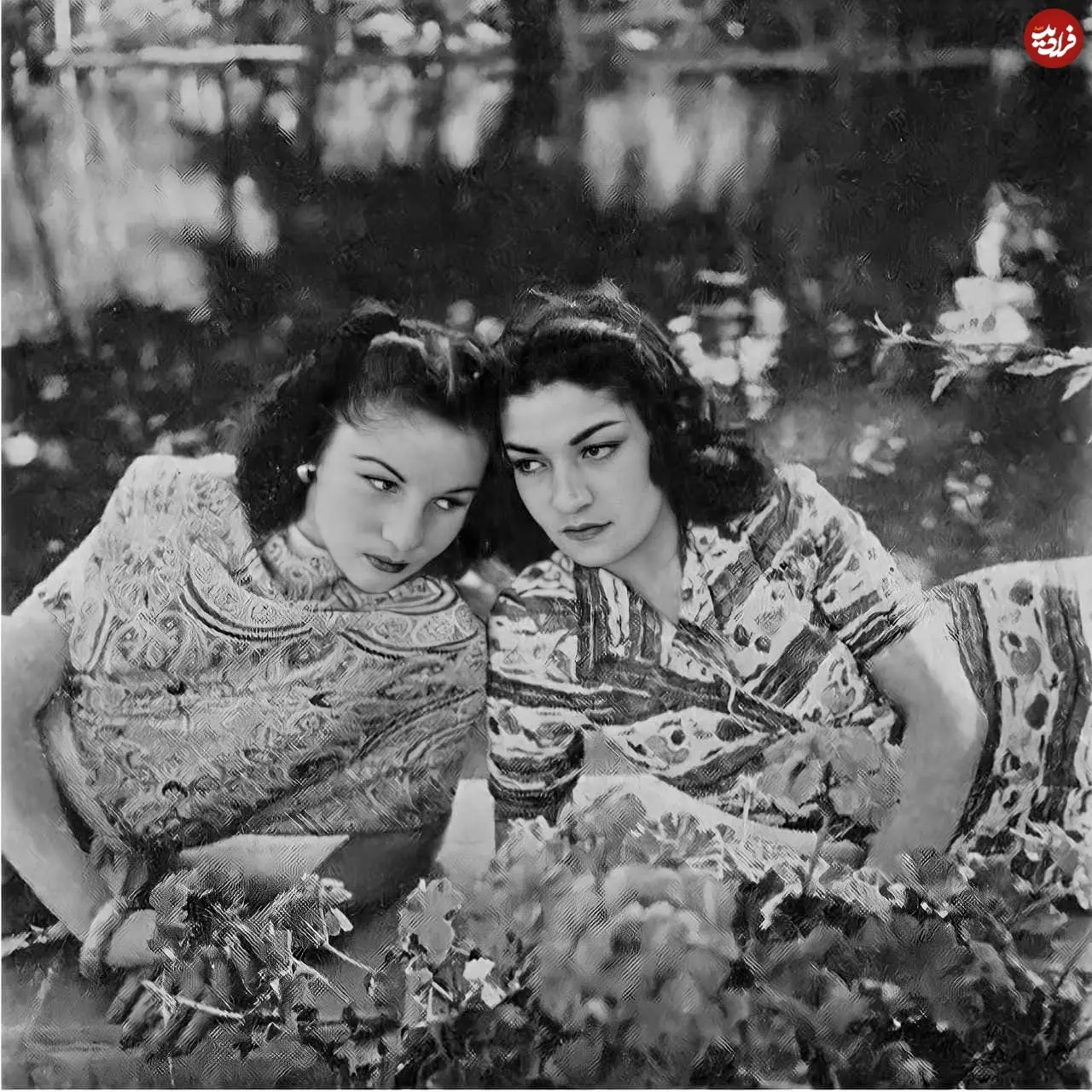 483098326_9385945684830613_1787025867010482789_n