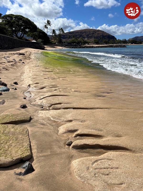 Petroglyphs-on-beach