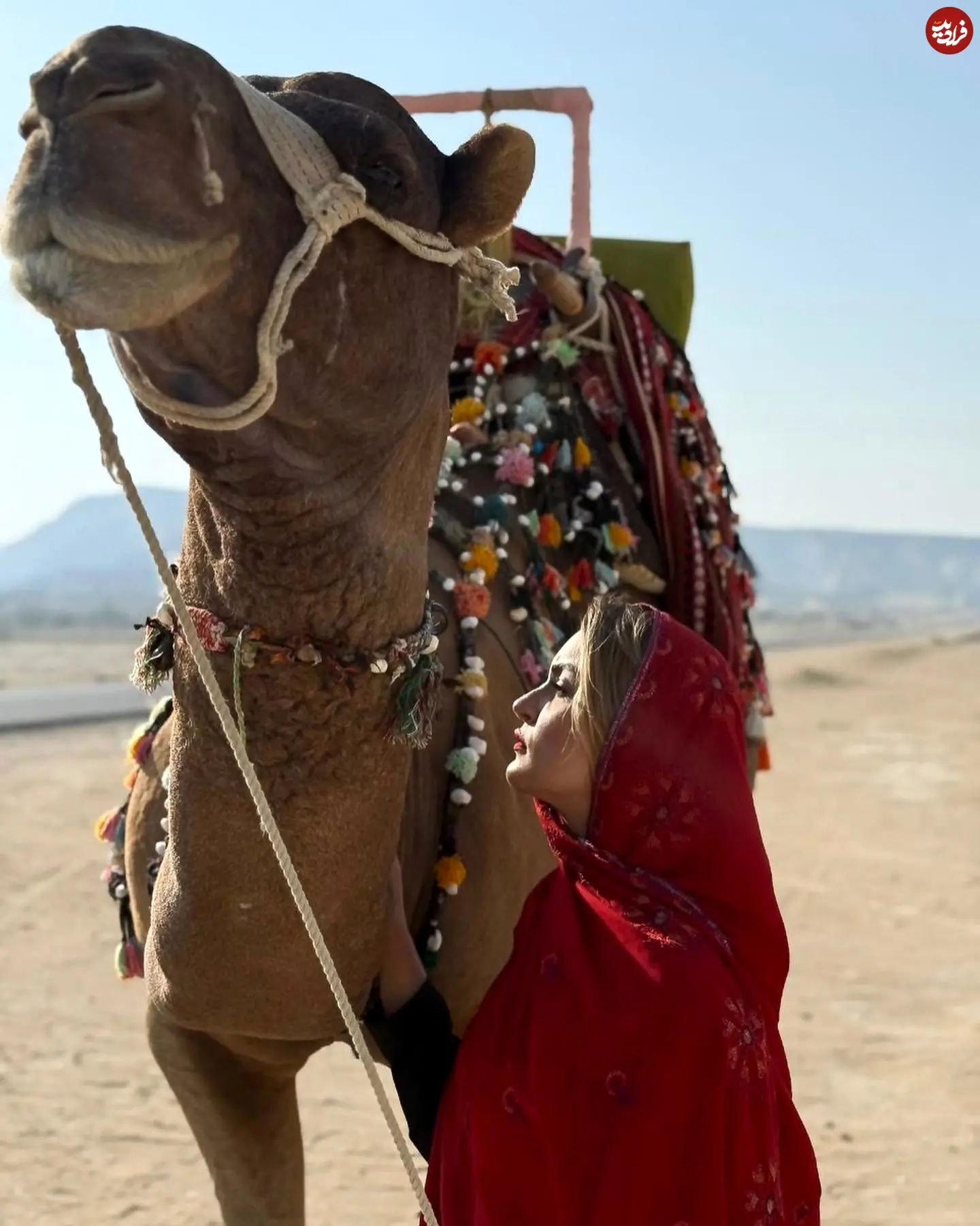 niloufar_parsa_1763236209_3766620781326119069_1041017484