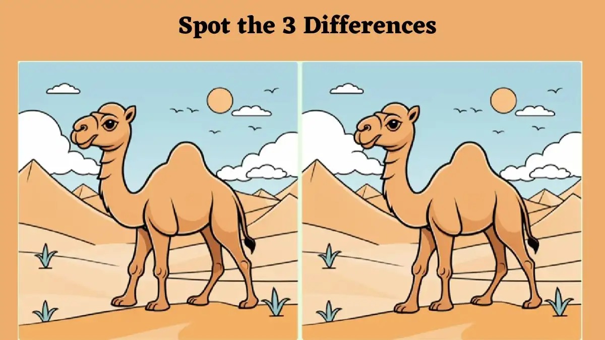 brain-teaser-spot-the-difference-game-only-the-most-observant-can-spot-the-3-differences-65c1ae11922ee33439117-1200_11zon