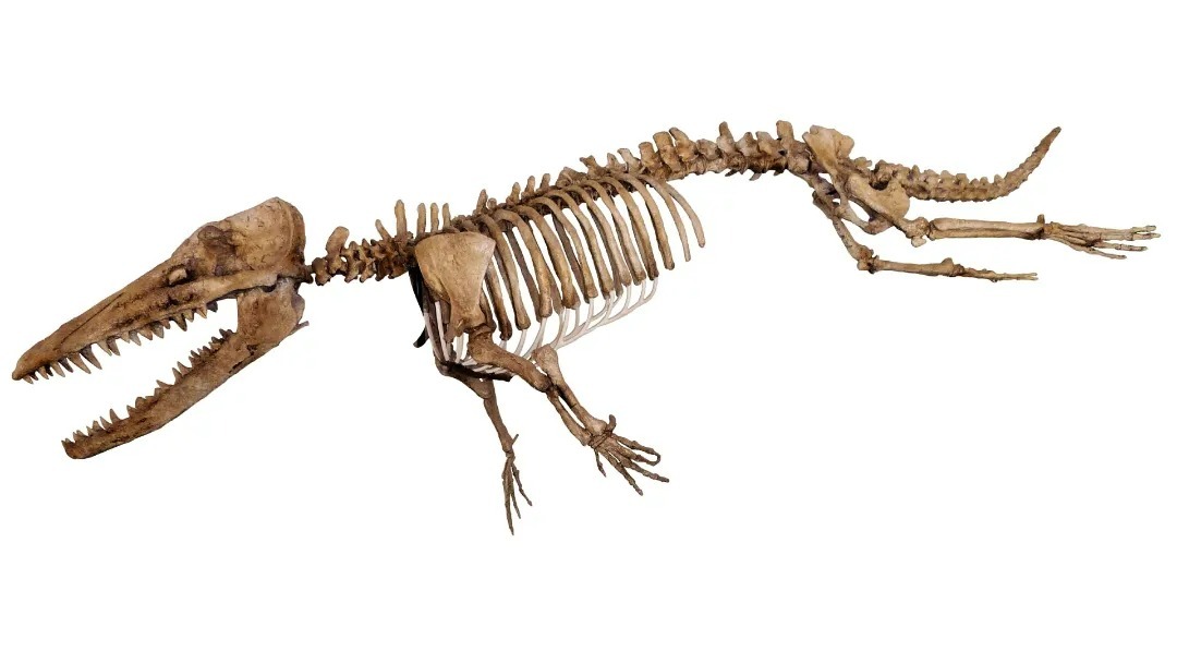 75