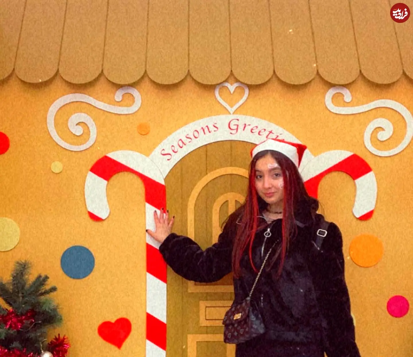 rozhantaghizadeh_1640444243_2736567120468862719_1525067656