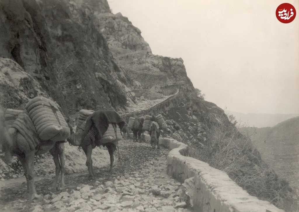 جاده بوشهر شیراز