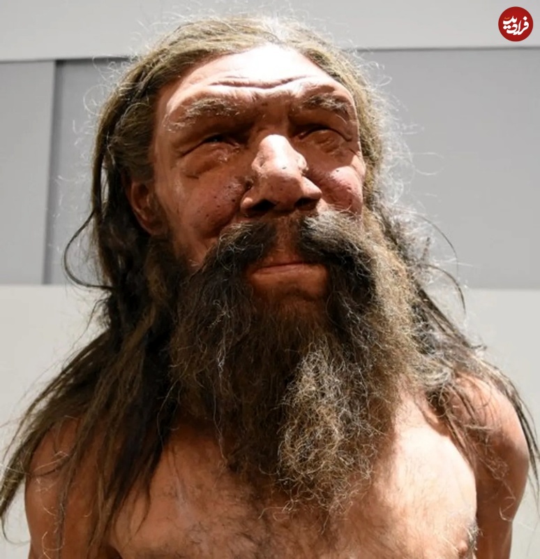انسان منقرض‌شده‌ای که «150 هزار سال قبل» در یک غار به دام افتاد 