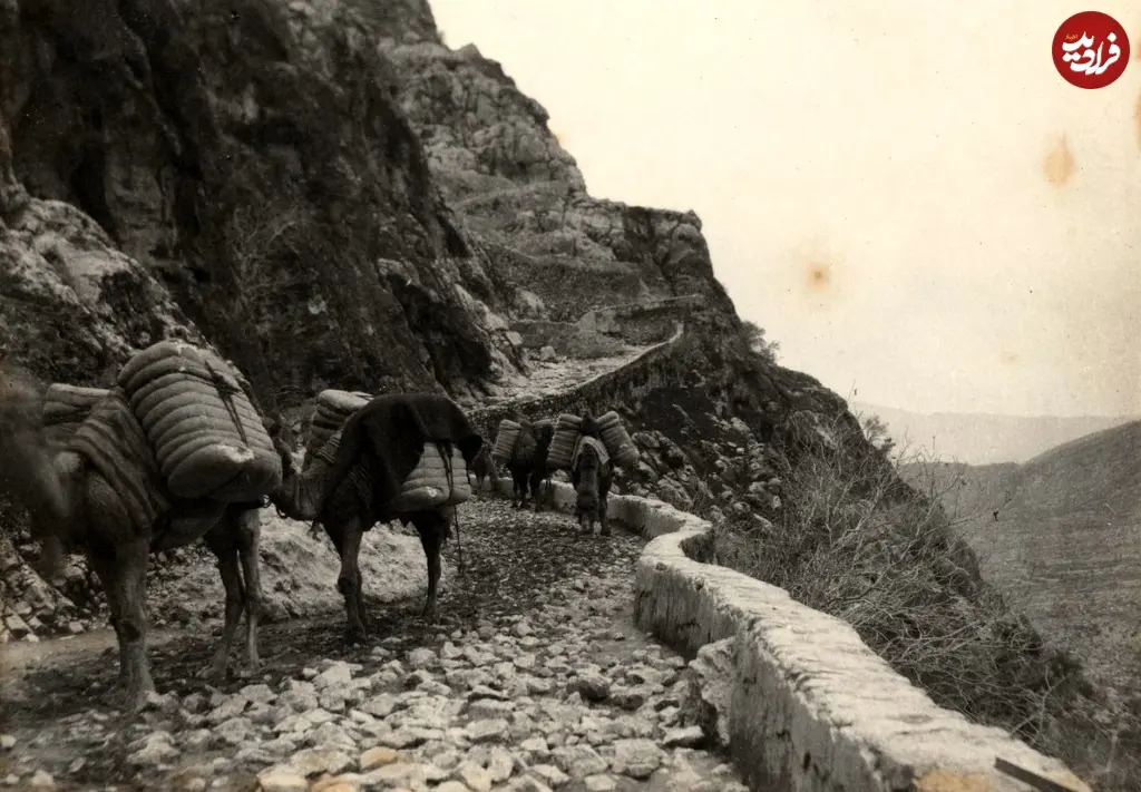 بوشهر شیراز
