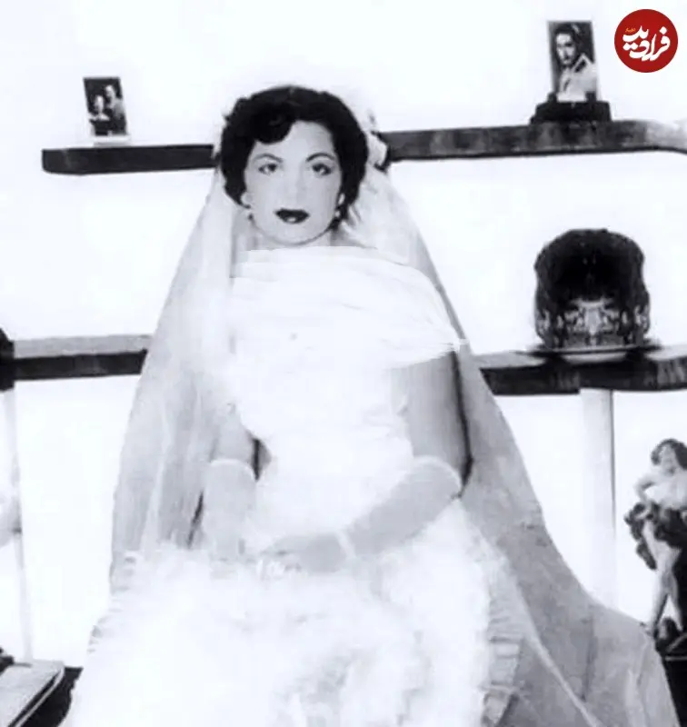 557442174_24939206785714058_9208566338275102467_n