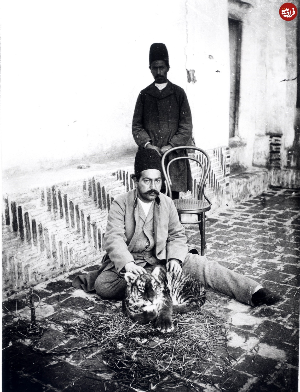عکس‌های دیده‌نشده از ببر مازندران در دوران قاجار