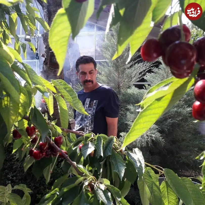 mohamadnaderi57_1562352718_2081487926419696748_1225687922