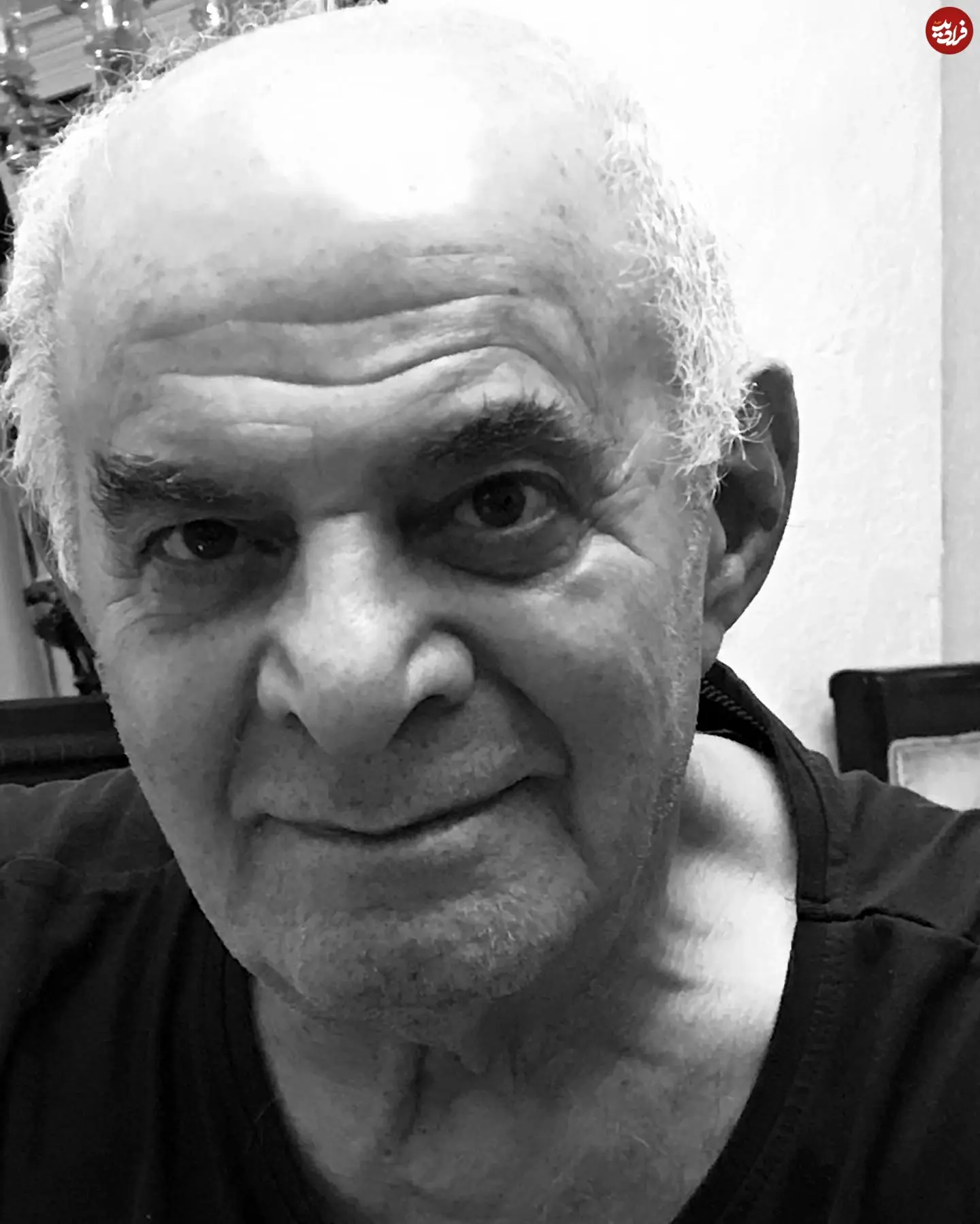 siroos_gorjestani_1564557346_2099981681363727968_15443155490