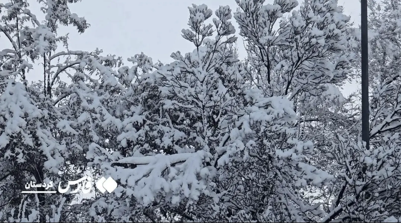 Screenshot 2026-01-15 003402