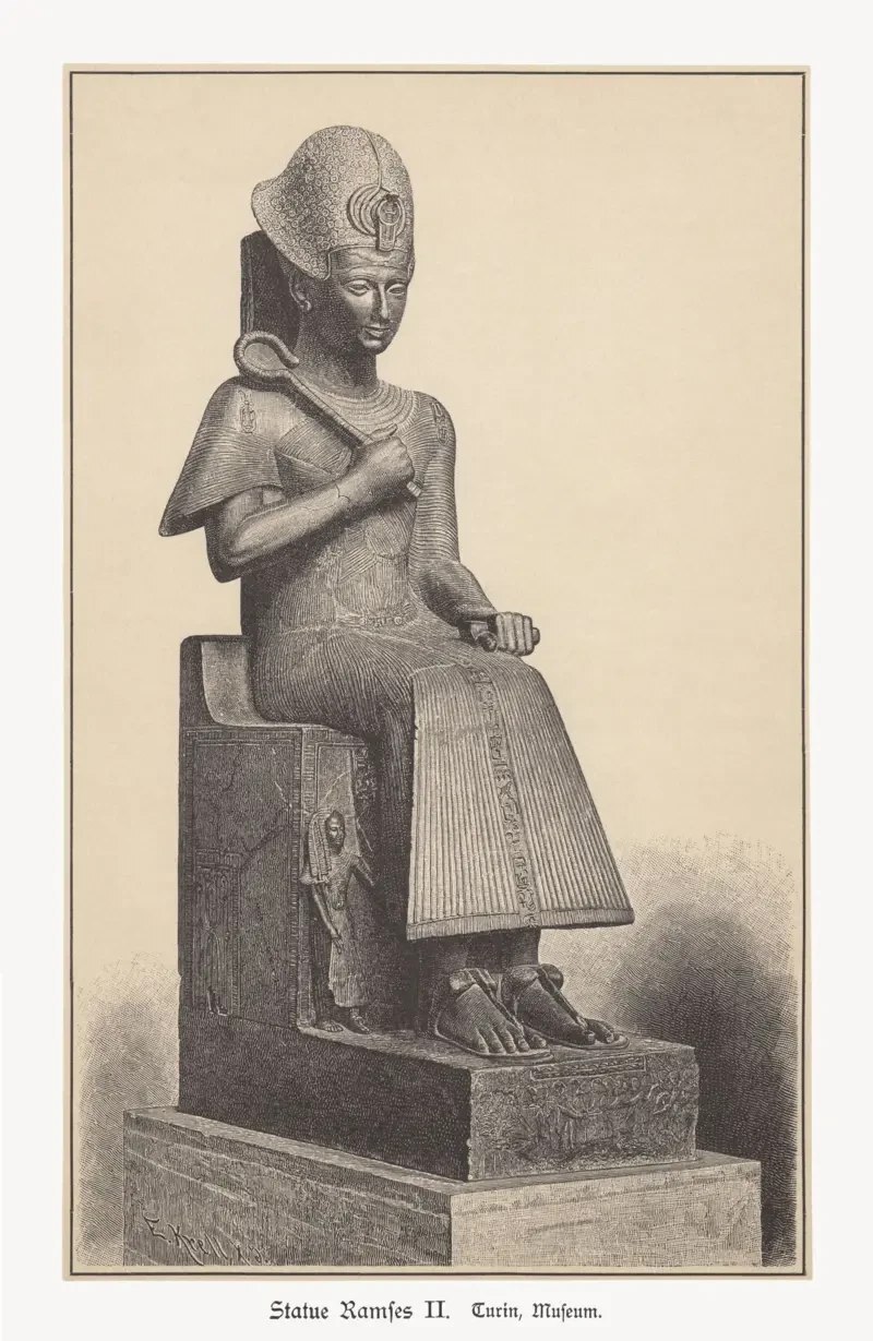 54