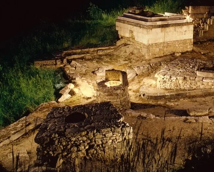 24