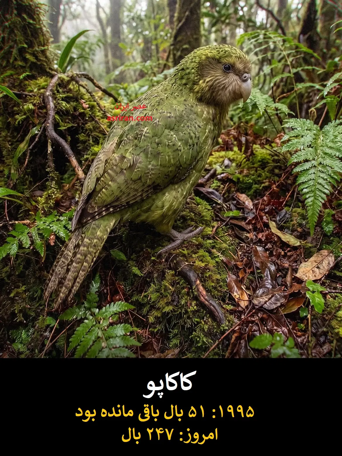 915