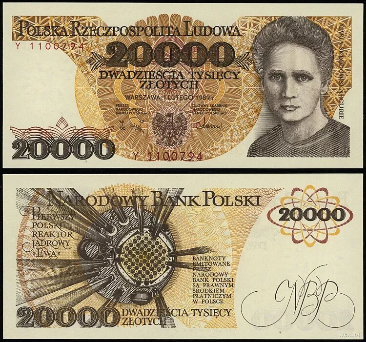 51