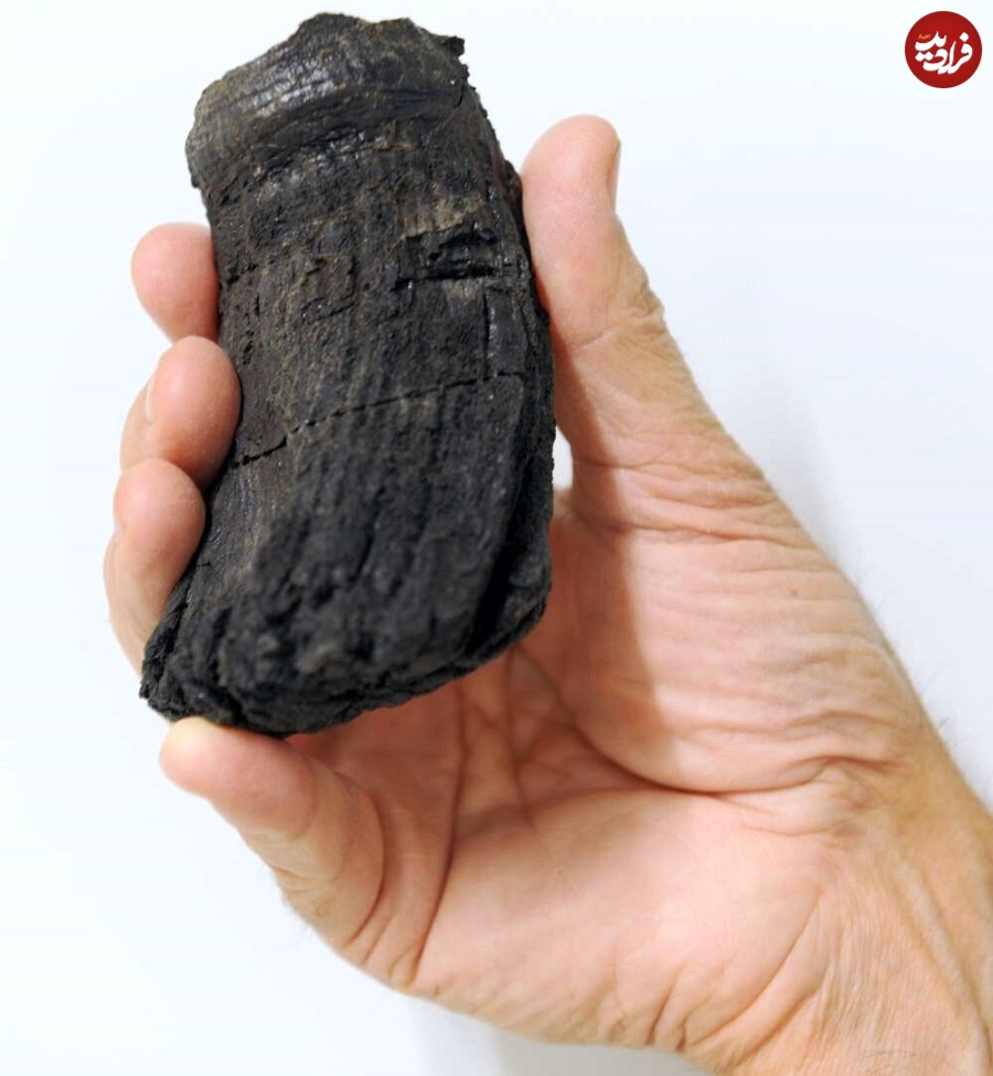 content-1651145006-ichthyosaur-tooth
