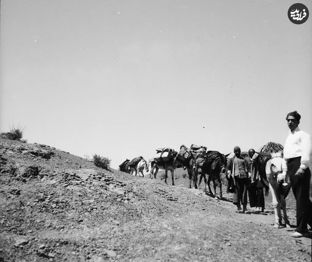 کاروان