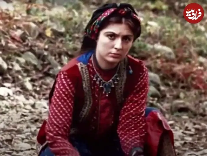 نیوشا-ضیغمی4354