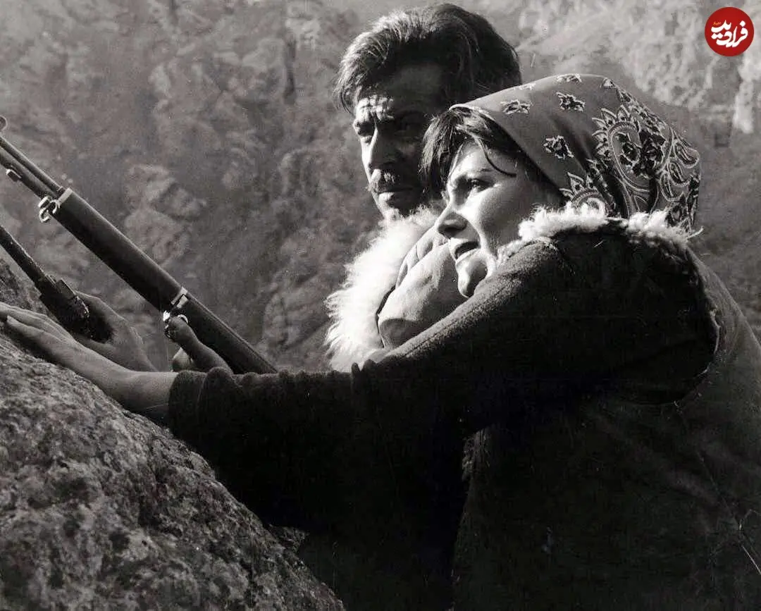 e_boushehre_1503159569_1584939804213355932_3048498484