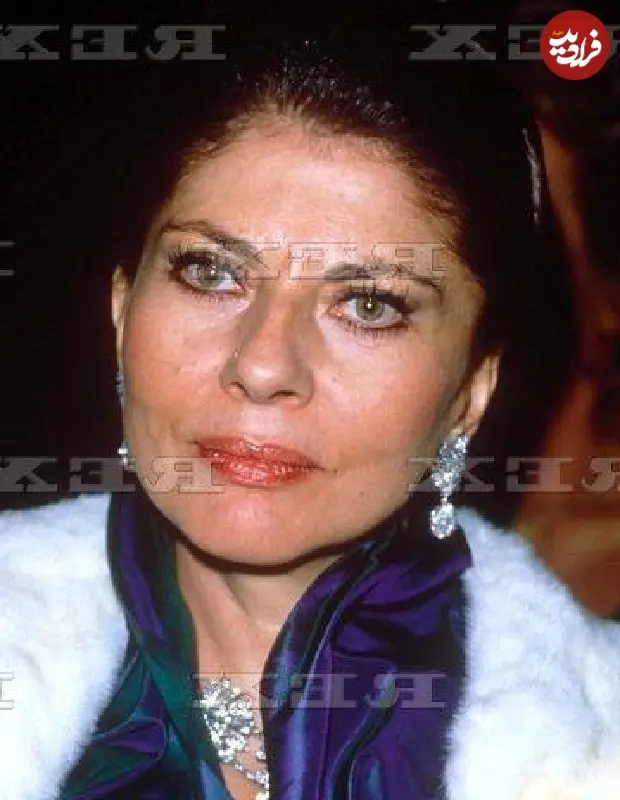 556018758_25101132622812416_7145433873879778373_n