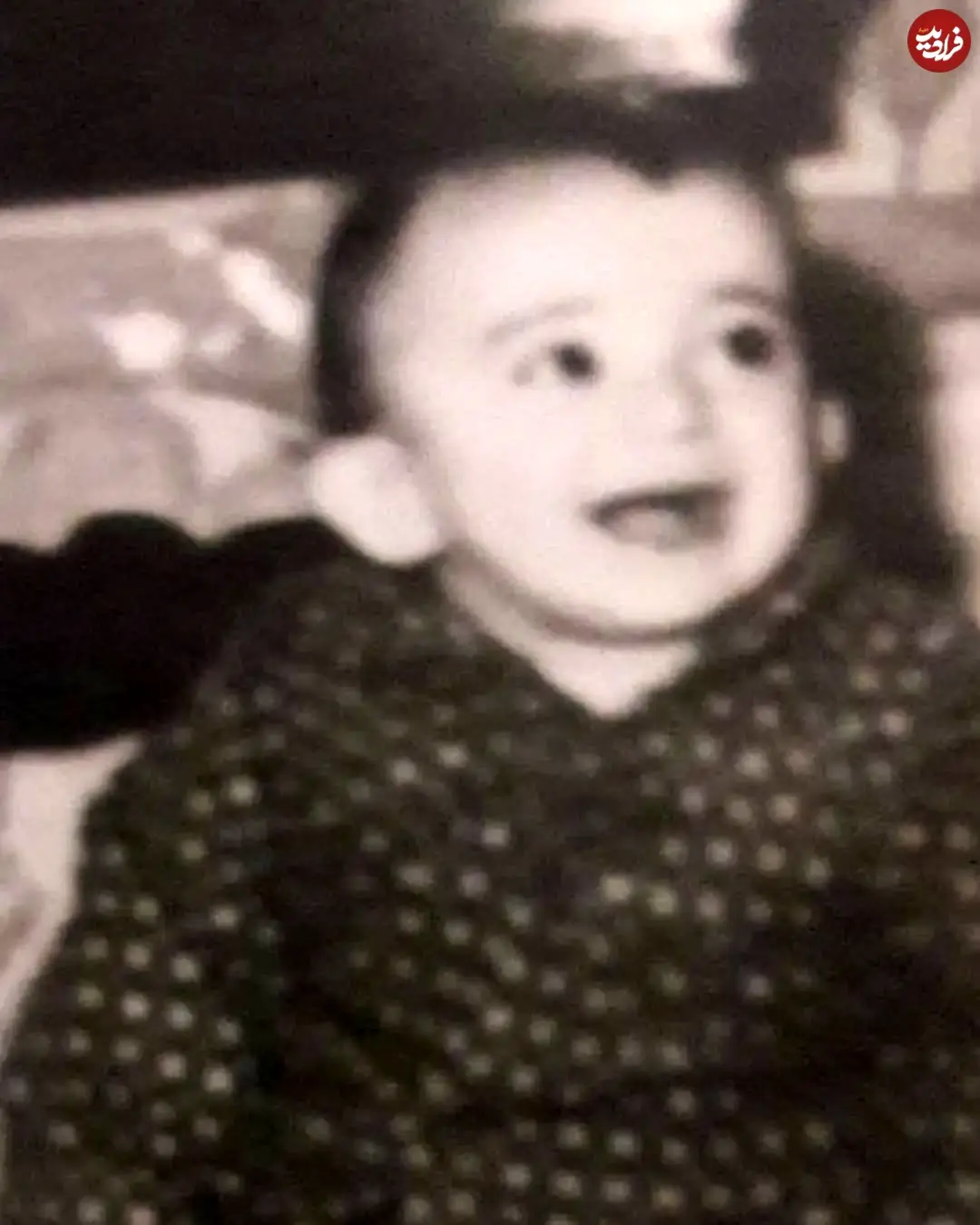 farahnaz_manafizaher_1653166291_2843287391273279985_2303918968_11zon