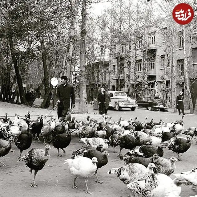 tehranica.info_1632304444_2668285534525271234_45315071831