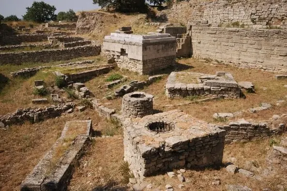 26