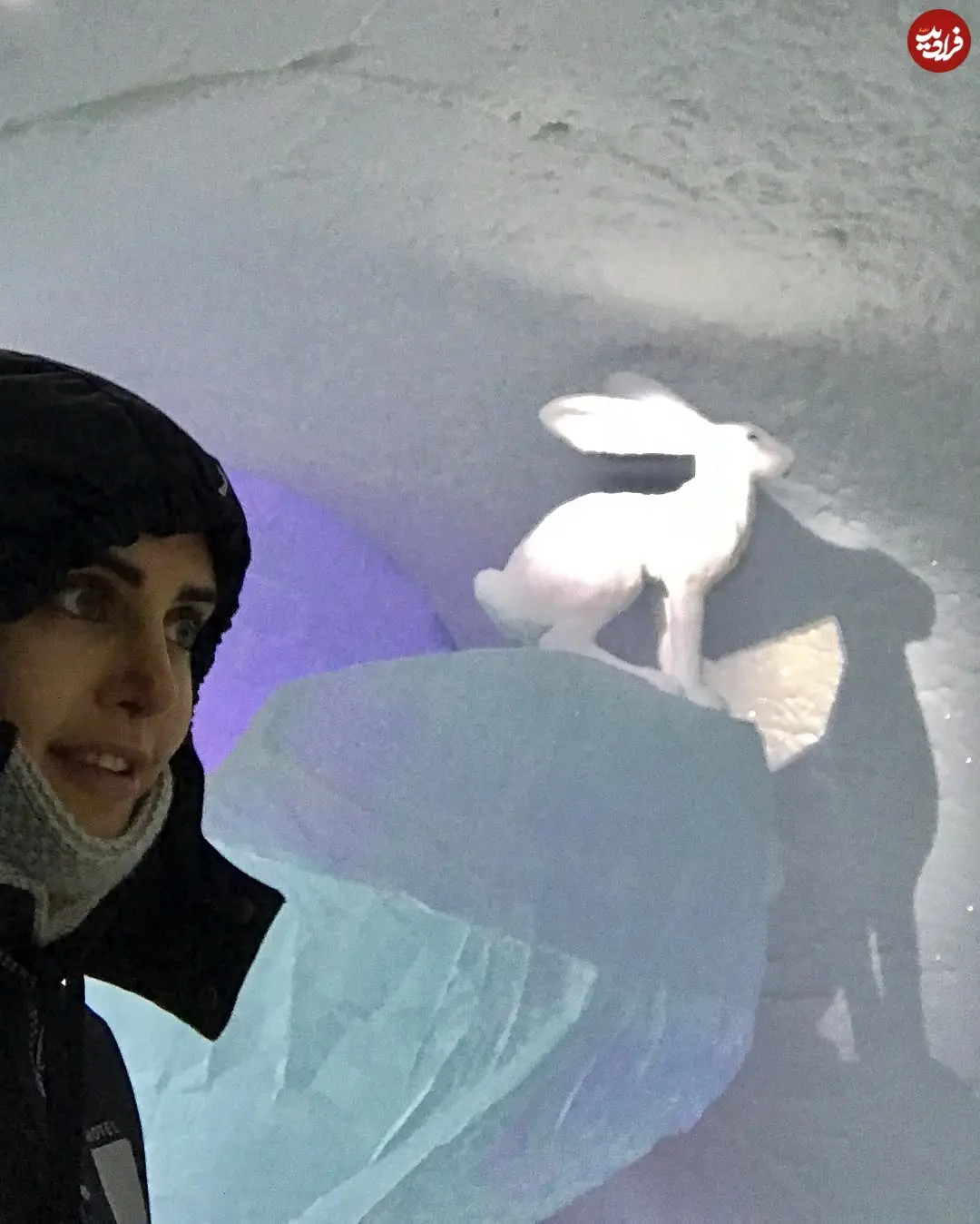 elnazshakerdoost_1514897376_1683403667333806691_279803529