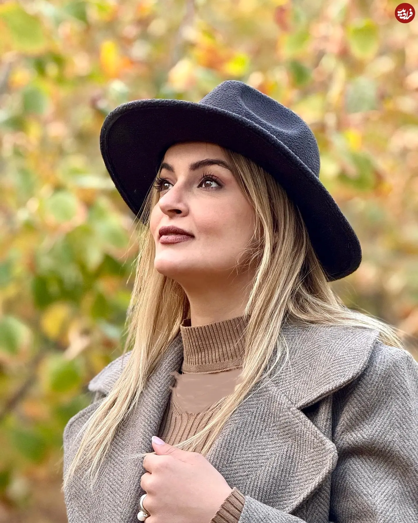 niloufar_parsa_1762785816_3762842612638968173_1041017484