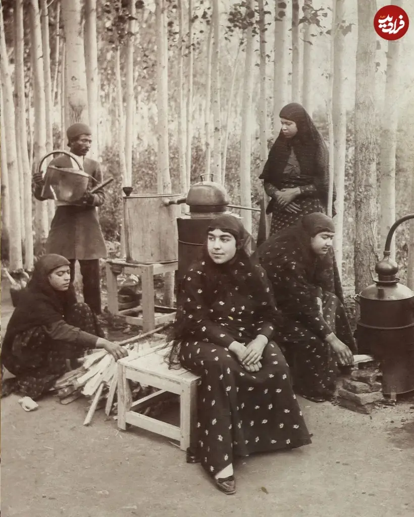 گلاب گیری