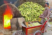 ببینید؛ غذای خیابانی در پاکستان؛ پخت بلال در شن داغ در لاهور