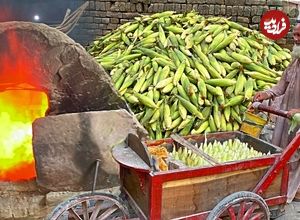 ببینید؛ غذای خیابانی در پاکستان؛ پخت بلال در شن داغ در لاهور