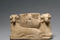 (عکس) رازگشایی از ۱۱ هزار سال تاریخچه زیستی گوسفندها
