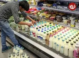 کمپین «نخریدن لبنیات» کار دست تولیدکنندگان داد