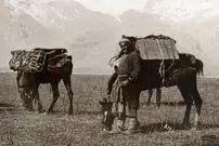عکس| سفر در زمان؛ تصویری از تجار و کاروان شترهای شان در یک قرن قبل