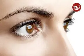 پژوهش جدید؛ سفیدی چشم یکی از عوامل موفقیت اجتماعی انسان بوده است