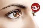 پژوهش جدید؛ سفیدی چشم یکی از عوامل موفقیت اجتماعی انسان بوده است
