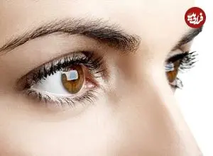 پژوهش جدید؛ سفیدی چشم یکی از عوامل موفقیت اجتماعی انسان بوده است