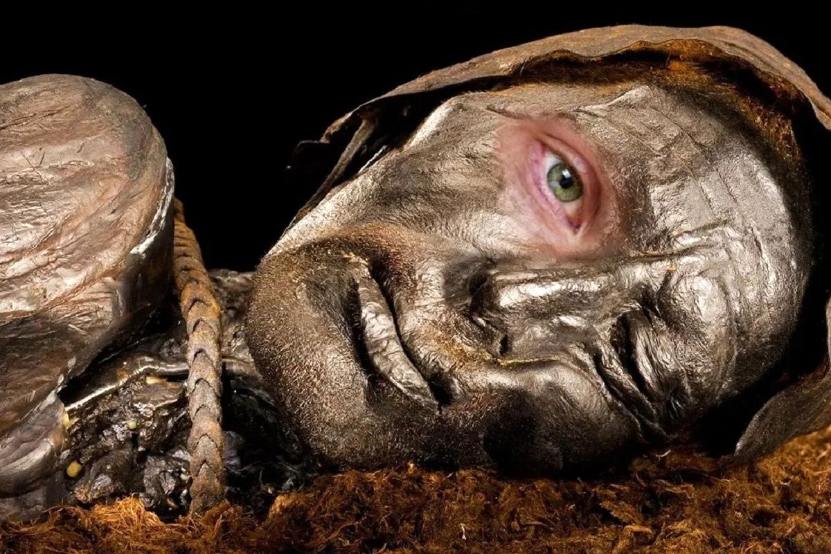 (ویدئو) بازسازی چهره مومیایی مرد باتلاقی 2400 ساله