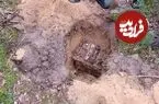 دو دستگاه «تلفن» بعد از 80 سال از زیر خاک‌های جنگل بیرون آمدند