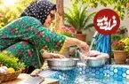 ببینید| غذای روستایی در ایران؛ پخت زرشک پلو با مرغ در روستایی زیبا