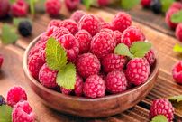 آغاز فصل برداشت یکی از پرخاصیت‌ترین میوه‌های جهان در ایران